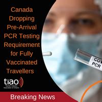 dropping covid testing for travel|Canada is dropping pre.